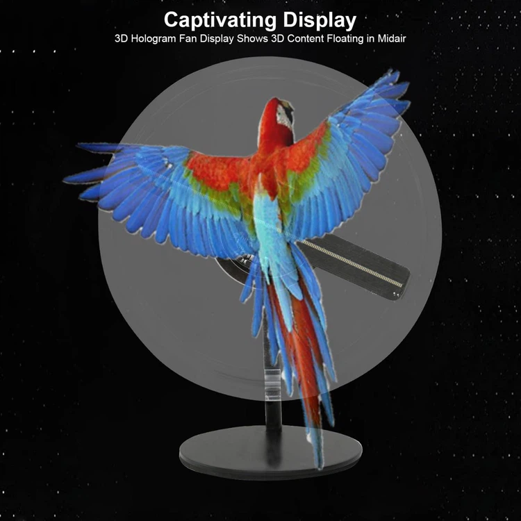 product-1265-1265 product-1265-1265